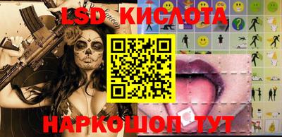 сатива Новозыбков
