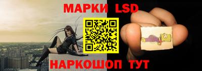 сатива Новозыбков