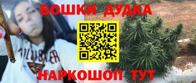 сатива Новозыбков