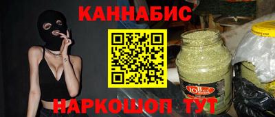 сатива Новозыбков