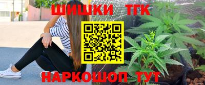 сатива Новозыбков