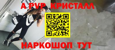 СК Новокубанск