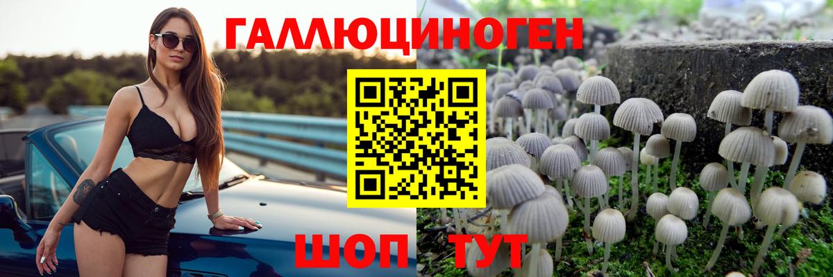 Сибай  Псилоцибиновые грибы MAGIC MUSHROOMS  Вход с VPN 
